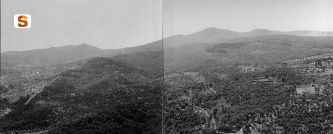 Foresta Monte Pisanu