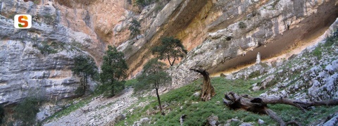 Oliena, canyon di Badde Pentumas